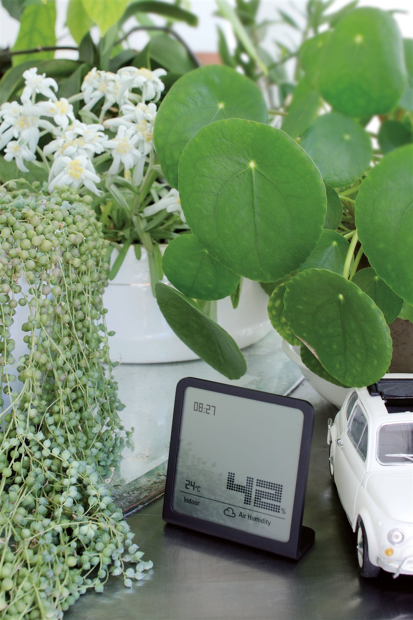 Refurbished SELINA Hygrometer.